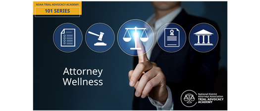 NDAA’s Trial Advocacy Academy 101 Series - Attorney Wellness